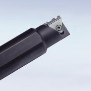 Schwanog PWP-System